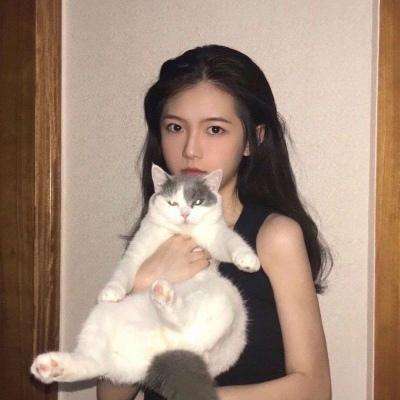 死神vs火影神委改游戏下载